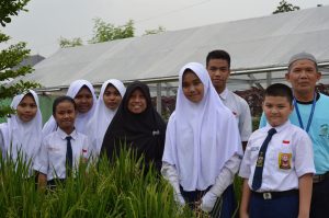 hydroponic-farming entryway to learning and behavioralch ange