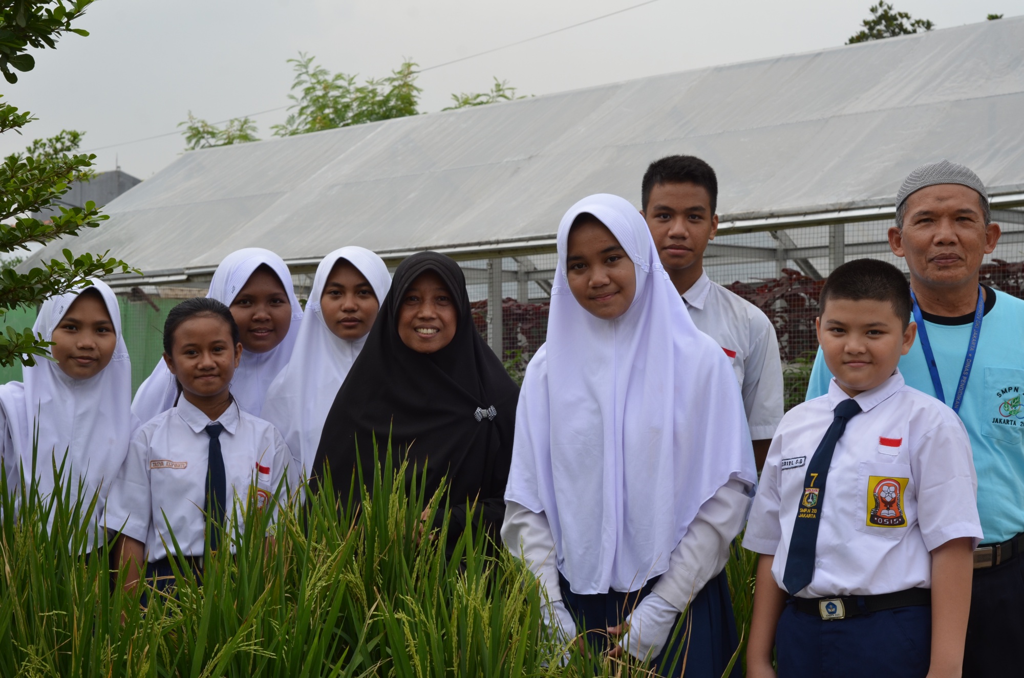 hydroponic-farming entryway to learning and behavioralch ange