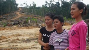 COP30 dan Suara yang Hilang: dari Masyarakat Adat dalam SDNC Indonesia