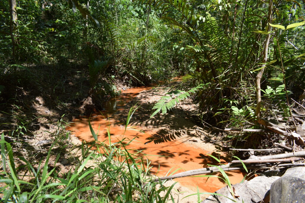 Anak sungai Hutan Lindung Keumuning_Ivo Lestari