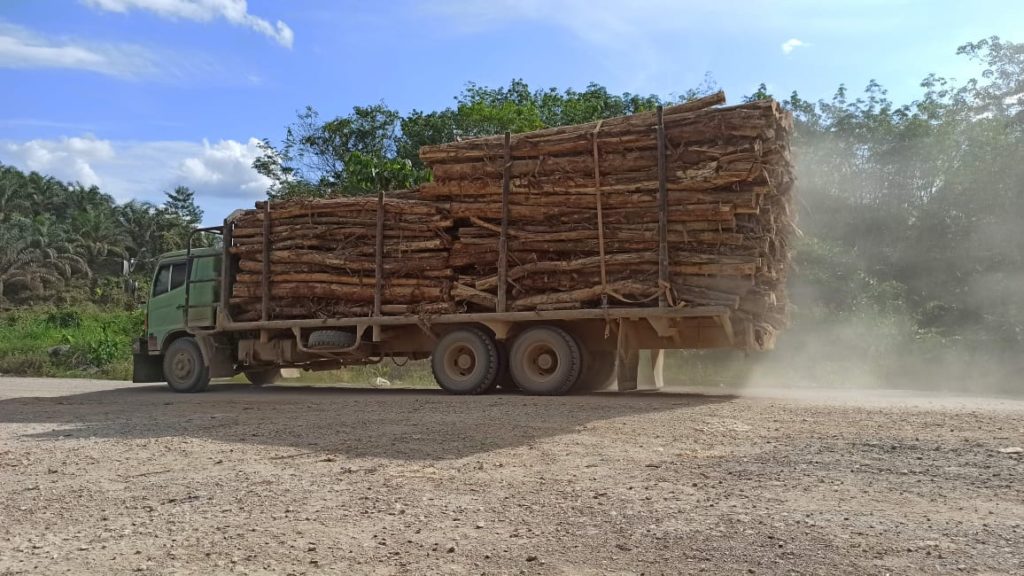 Truk PT WKS membawa kayu akasia mangium.