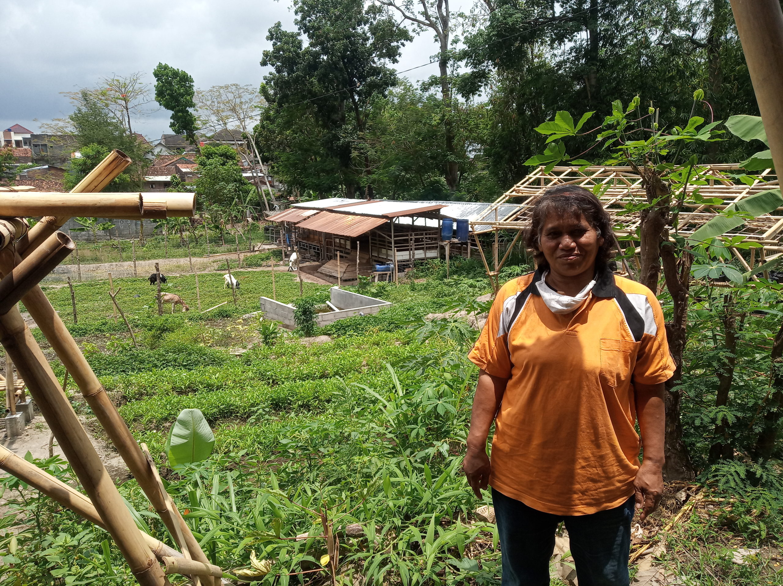 Ketua Kelompok Tani Lansia Produktif Ledhok Timoho, Sri Hariyani