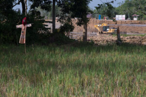 Lahan sawah milik warga berseberangan proyek intake Sungai Sepaku_PM