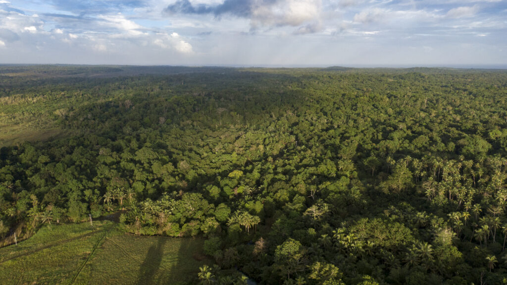 Lanskap huten Popjetur Kabupaten Aru Selatan