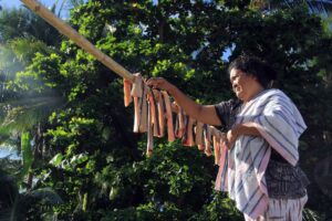 Process of drying shark meat in Sangihe