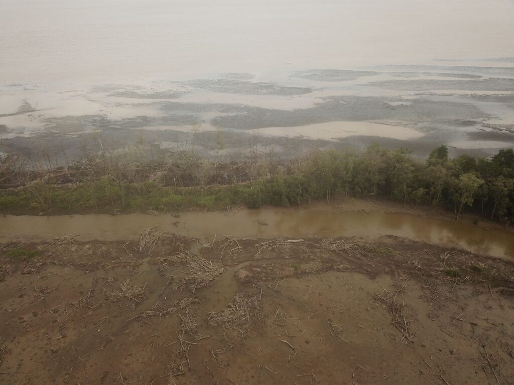 Mangrove forest in Sungai Sayang Tanjab Timur