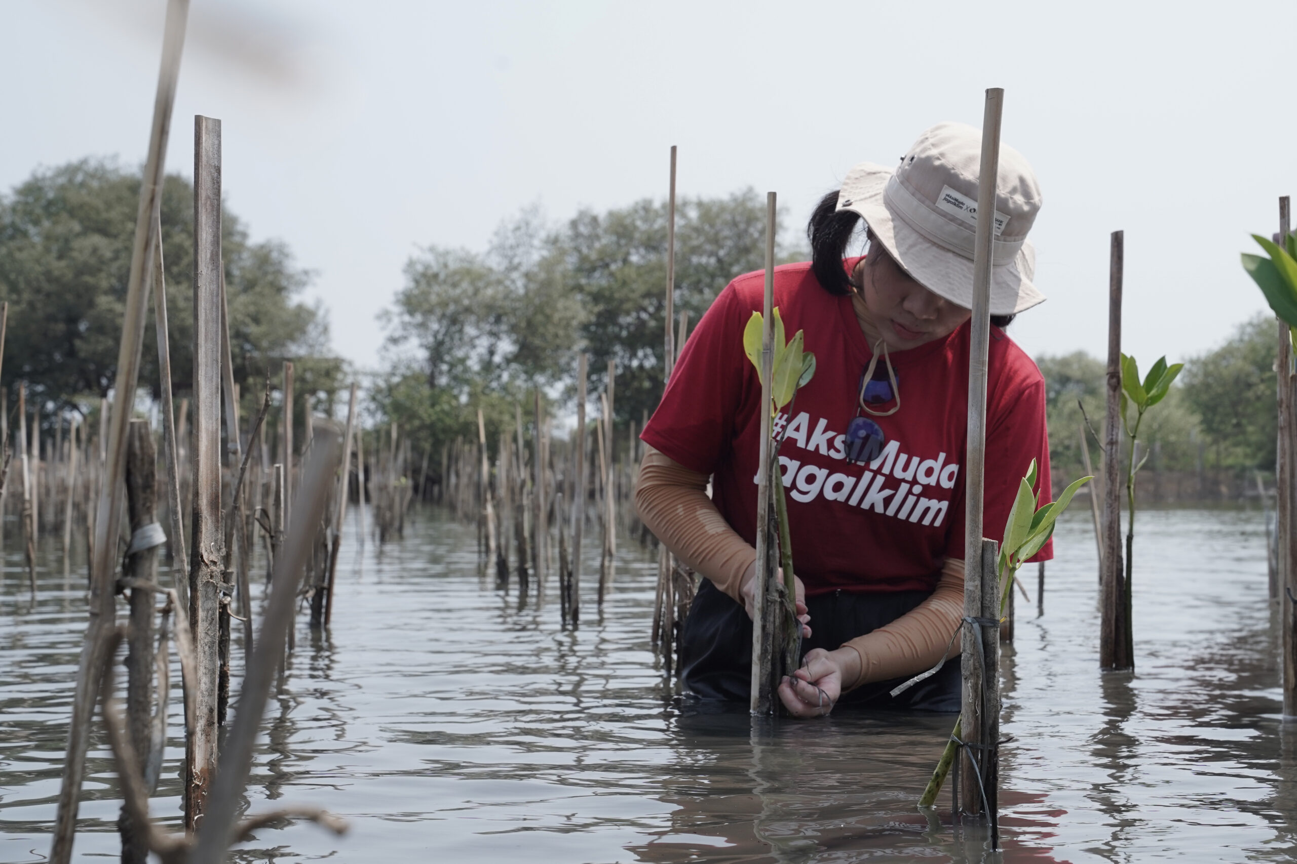 Youth Action for Climate