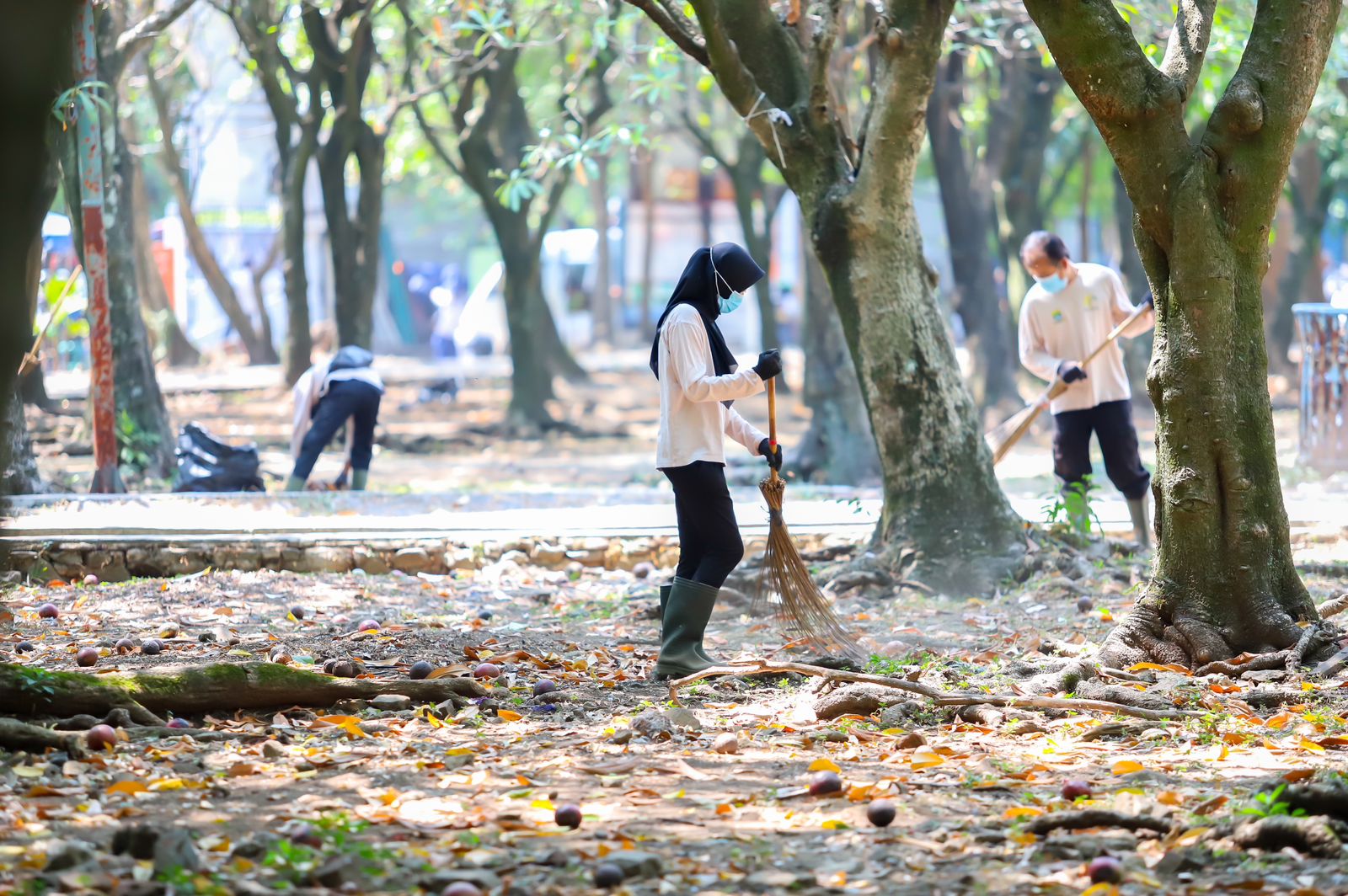 Membersihkan sampah organik di Bandung.