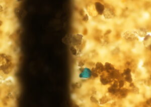 microplastic fragments BRIN