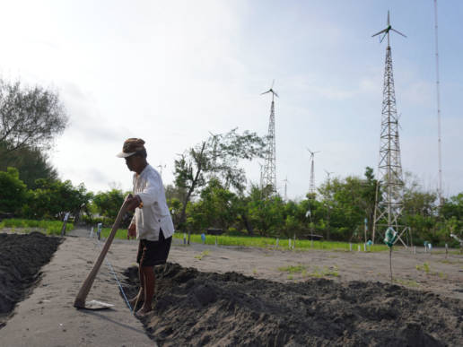 Kincir Angin Pantai Baru trand asia transisi energi
