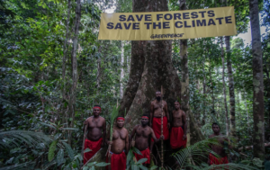 orang adat papua masyarakat desa