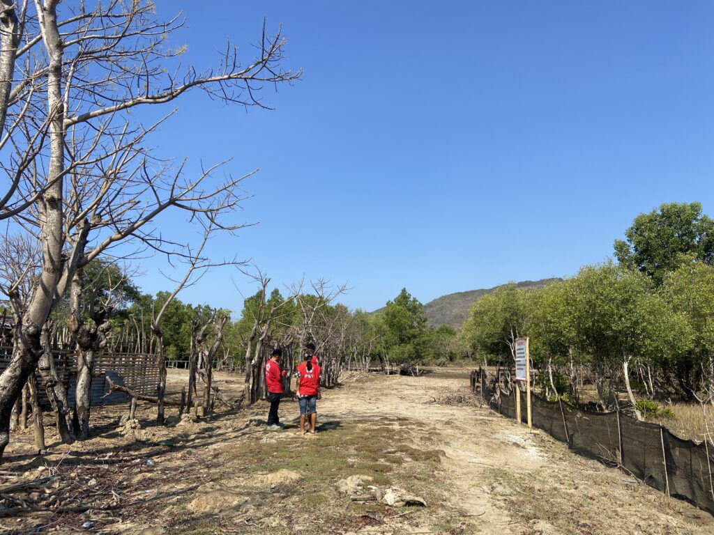 Lokasi Kebun Mangrove SIBAT di Pantai Nanga Banda, Kelurahan Baru, Kecamatan Reok, Kabupaten Manggarai, NTT. (Foto/Chairul Akhmad)