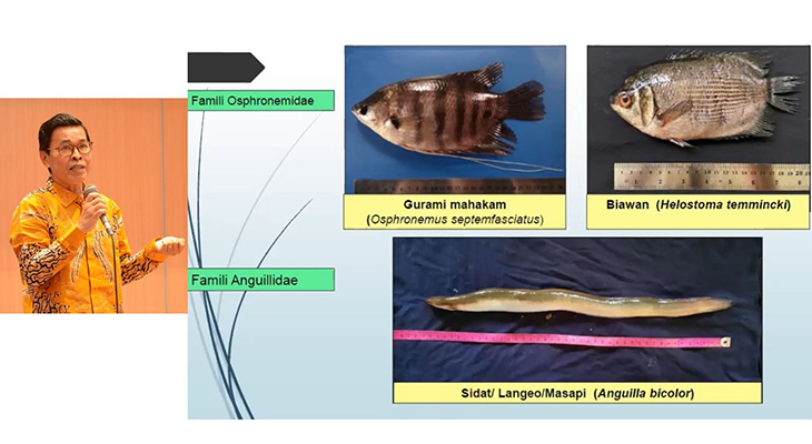 Seminar Nasional Biologi ke-5 Universitas Mulawarman, Kalimantan Timur, mengungkap potensi probiotik lokal. (Foto: Universitas Mulawarman)