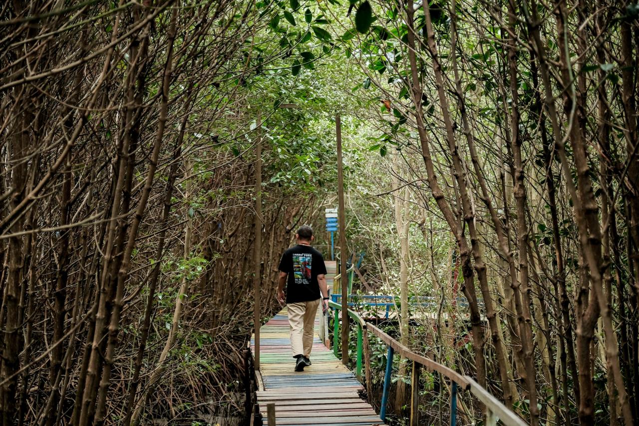 Desa Wisata Lantebung di Kota Makassar, Sulawesi Selatan (Sulsel). Desa ini menjadi contoh keberlanjutan lingkungan pantai dan hutan. (wonderfulimages.kemenparekraf.go.id)