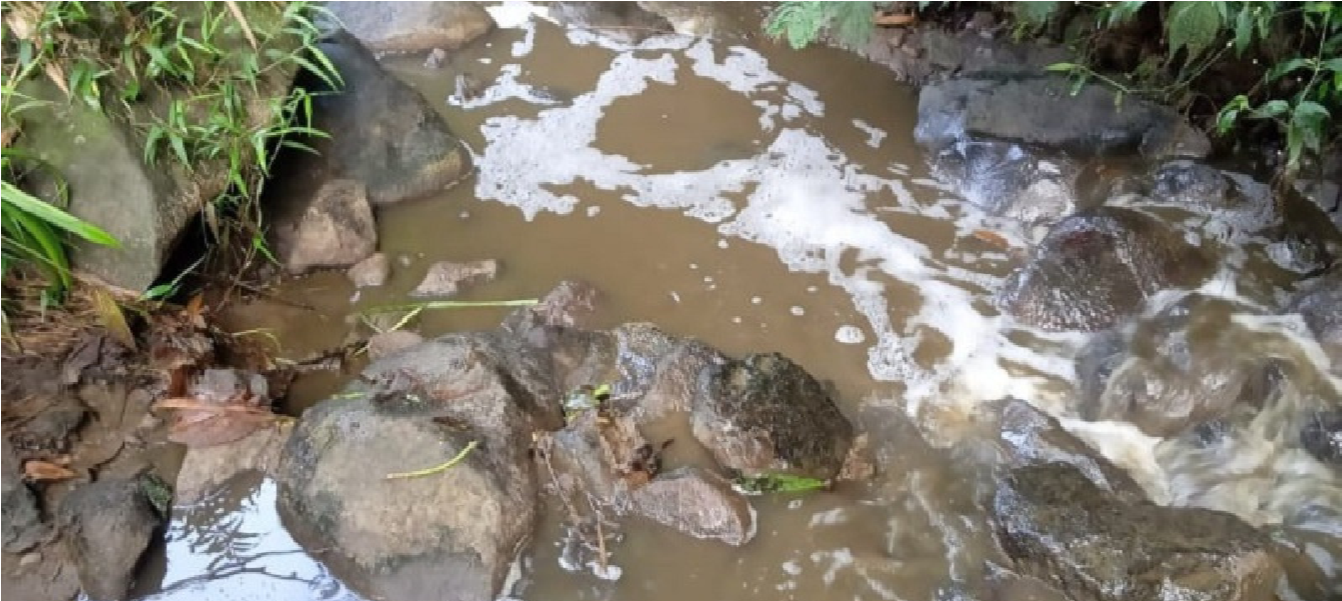 Walhi Jawa Timur dan Global Forest Coalition menemukan pencemaran perusahaan susu sapi terhadap sungai. (Foto: Walhi Jawa Timur dan Global Forest Coalition)
