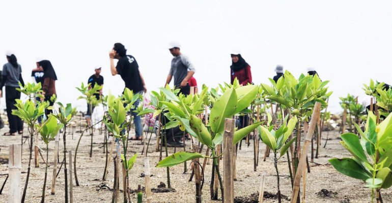 Prodi Silvikultur IPB University, program pertama di Indonesia. Ilmu, teknologi & seni budi daya hutan diajarkan disini!