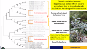 Materi kuliah umum Penerapan Bioteknologi dalam Menghadapi Perubahan Iklim di Itera. (Foto: Itera)
