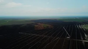 Alih fungsi lahan di Kalimantan Tengah memicu bencana ekologi. (WALHI Kalteng)