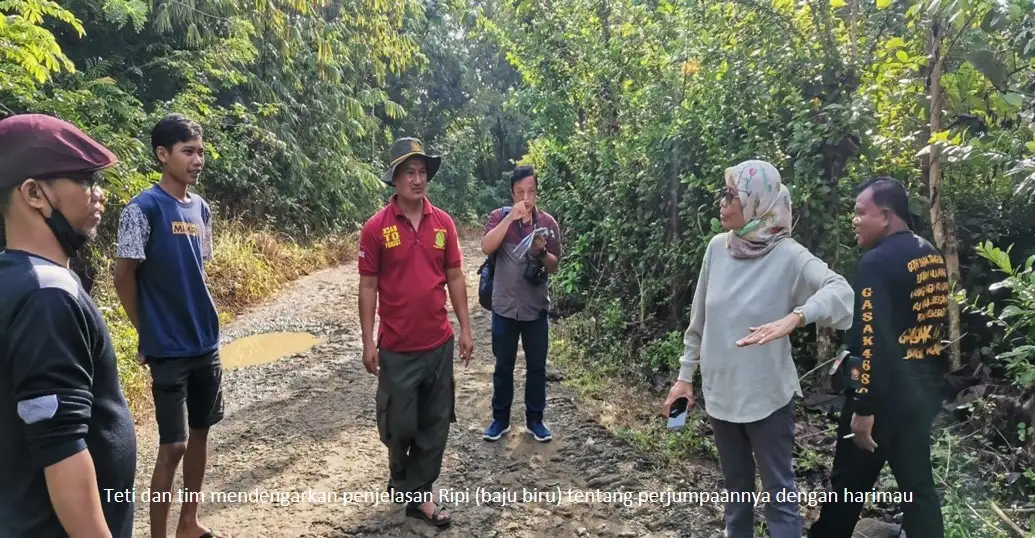 Peneliti BRIN lakukan analisis DNA sampel rambut harimau dari Sukabumi. Harapan baru penemuan harimau jawa.