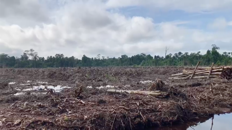 SNDC mengakui pentingnya restorasi dan mencantumkan moratorium izin baru konversi hutan primer. Namun, di sisi lain, proyek pembangunan skala luas terus mengubah area esensial termasuk ekosistem gambut