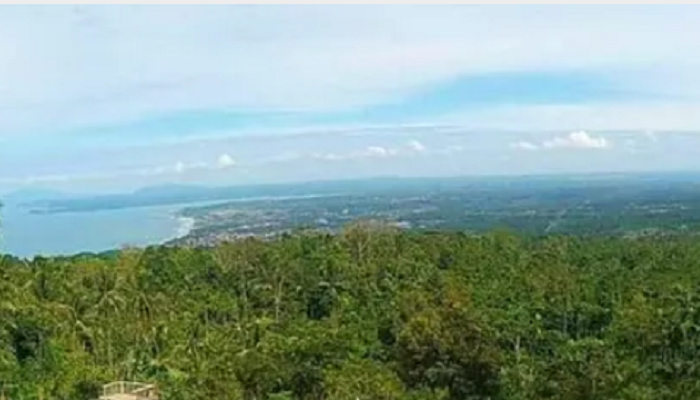Pengelolaan kawasan hutan Lampung Selatan https://www.lampungselatankab.go.id/