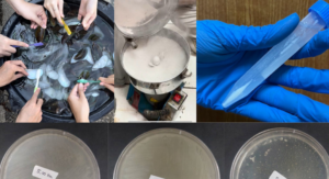 Mahasiswa Unpad melakukan riset terhadap limbah kerang hijau. (Foto: Unpad)