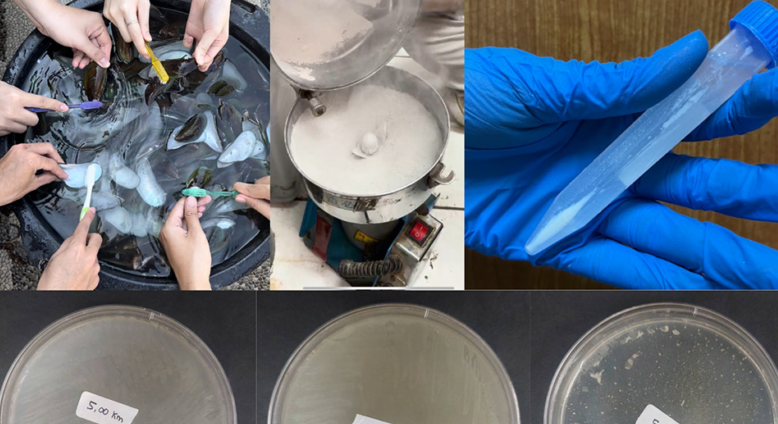 Mahasiswa Unpad melakukan riset terhadap limbah kerang hijau. (Foto: Unpad)