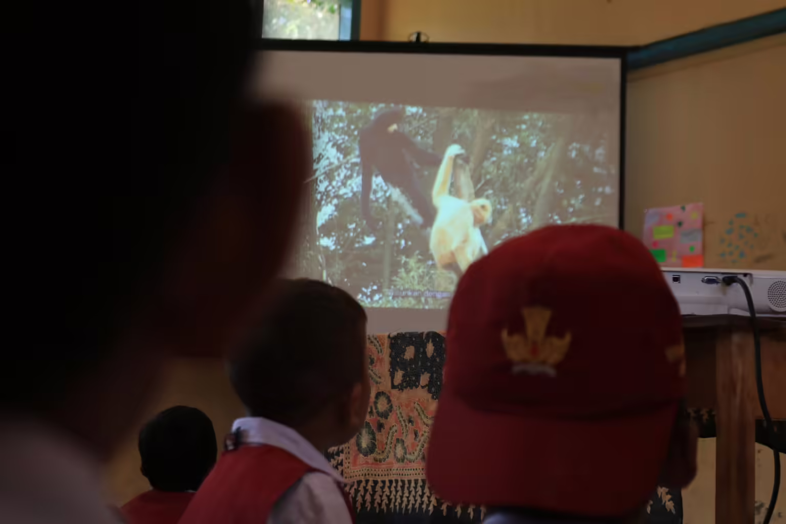 Edukasi pelestarian owa jawa. Perburuan liar juga mengancam eksistensi owa jawa. (WALHI JABAR)