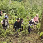 Kegiatan forest healing Unpad. (Unpad)