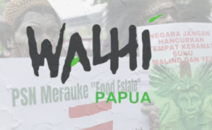 Rakyat Papua diharapkan tidak asal memilih pemimpin di Pilkada. Pemimpin Papua harus memiliki perhatian serius terhadap ekosistem alam Papua.