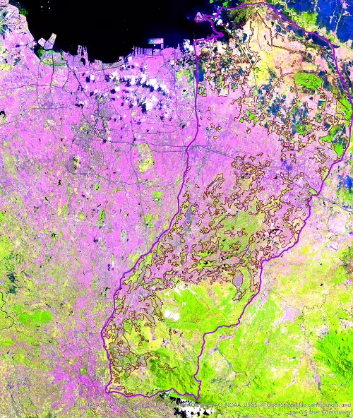 Peta satelit kali Bekasi 2024 menunjukkan kawasan hijau terdesak pembangunan. (Greenpeace)