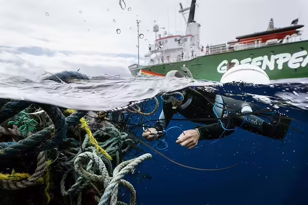 Aksi Greenpeace membersihkan laut dari sampah. (Greenpeace)
