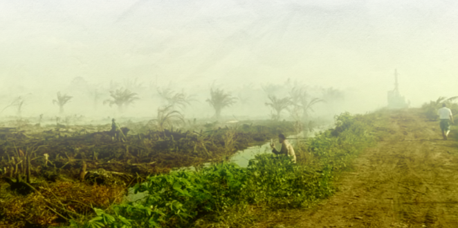 Ilustrasi. Perkebunan kelapa sawit di Riau. (WALHI)