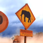 Inisiatif koeksistensi harmonis antara masyarakat dengan gajah sumatera di Lanskap Sugihan-Simpang Heran, Sumatera Selatan