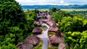 Deklarasi Sumba untuk keadilan ekologis: seruan dari Timur untuk membalik arah pembangunan