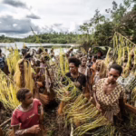 perempuan papua Masyarakat adat Suku-Awyu-di-Distrik-Fofi-Kab.-Boven-Digoel
