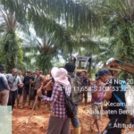 Lima petani terkapar setelah timah panas yang diduga ditembakkan keamanan PT Agro Bengkulu Selatan (ABS) di Pino Raya, Bengkulu